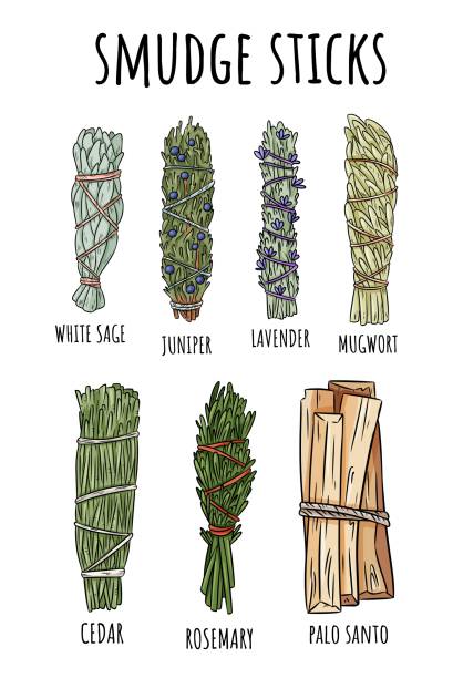 SAGE BUNDLE