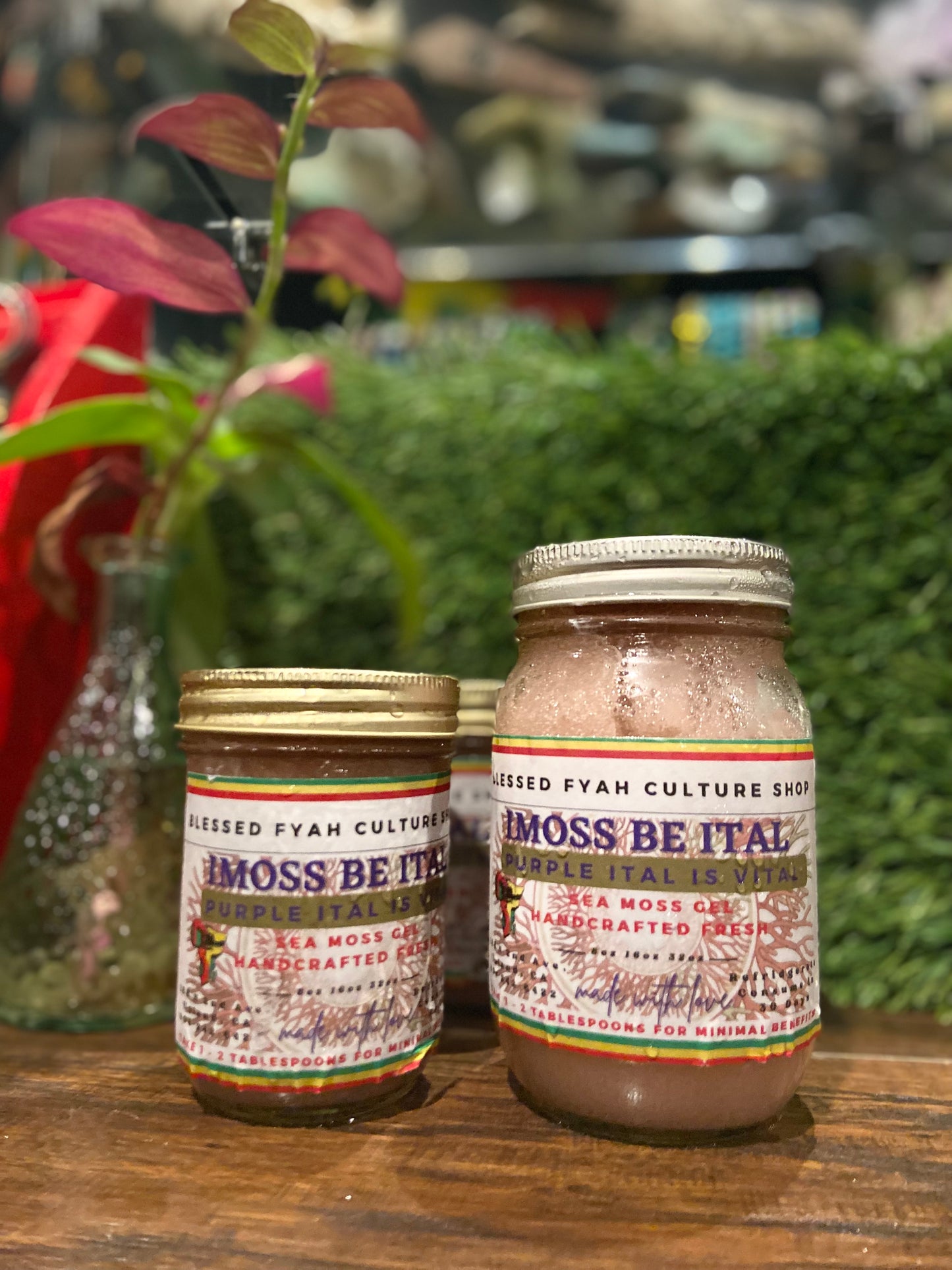 IMOSS BE BLESSED (Elderberry 15+) Herbs)