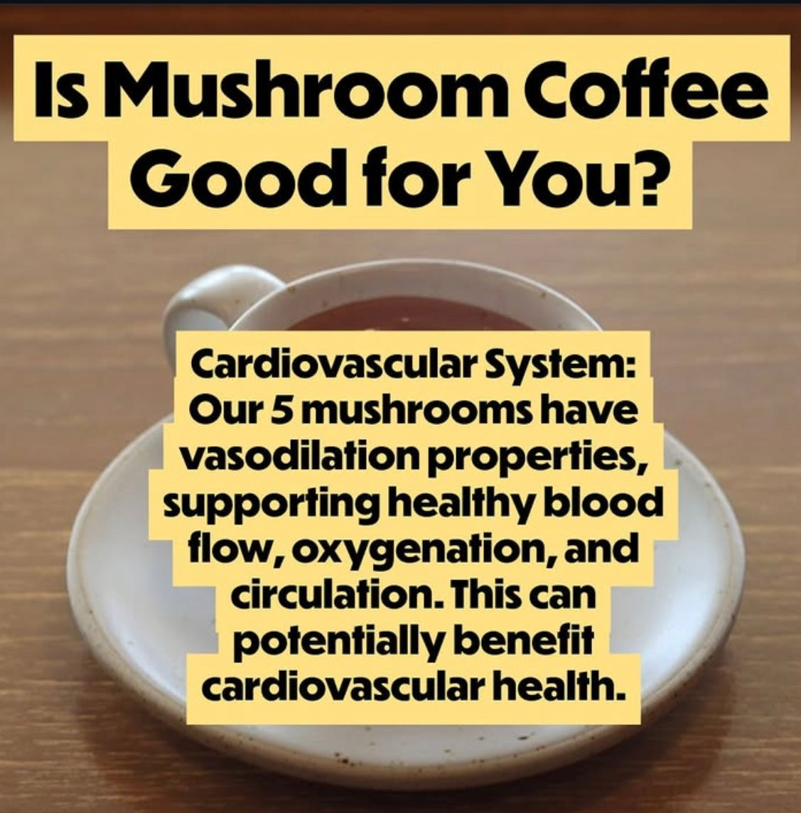 MYCROBOOST Coffee